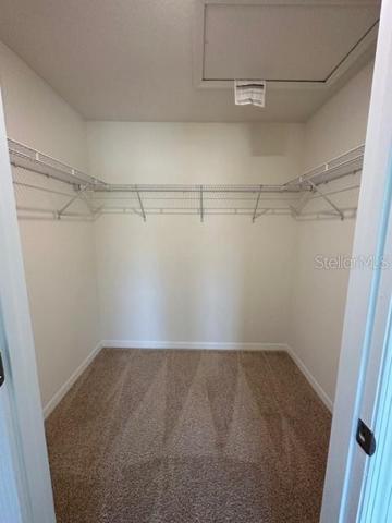 Walk in Closet