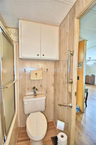 Guest Bathroom - Grab Rails
