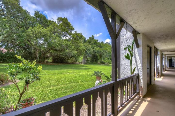 View from Front Door