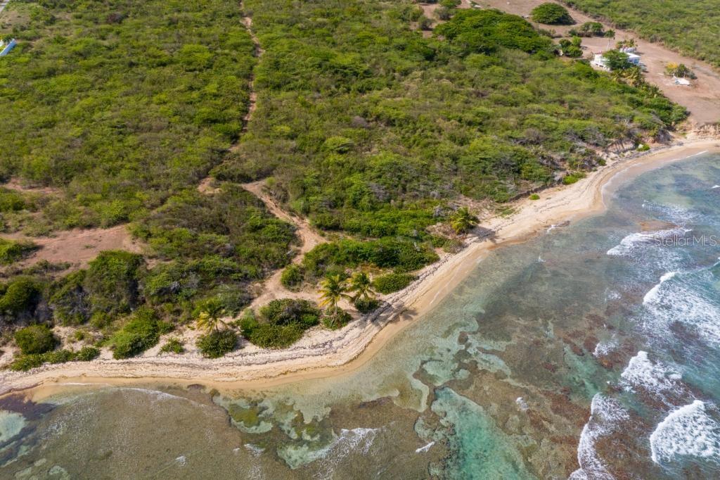 Vieques, Puerto Rico 00765, 0 , 0 ,0,Land,For Sale,LA HUECA,0,PR9102688