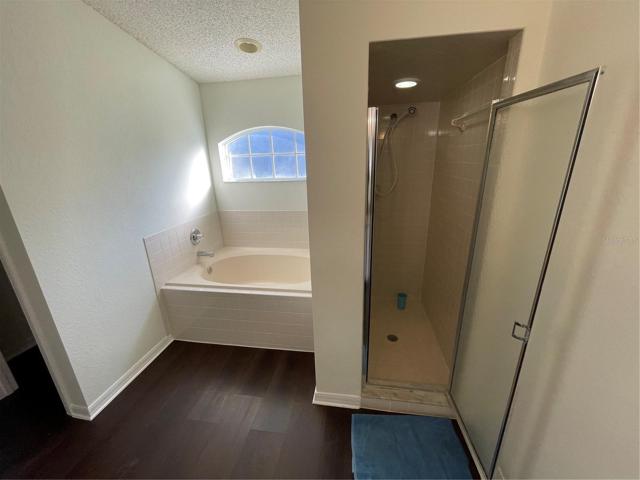 Shower and garden tub