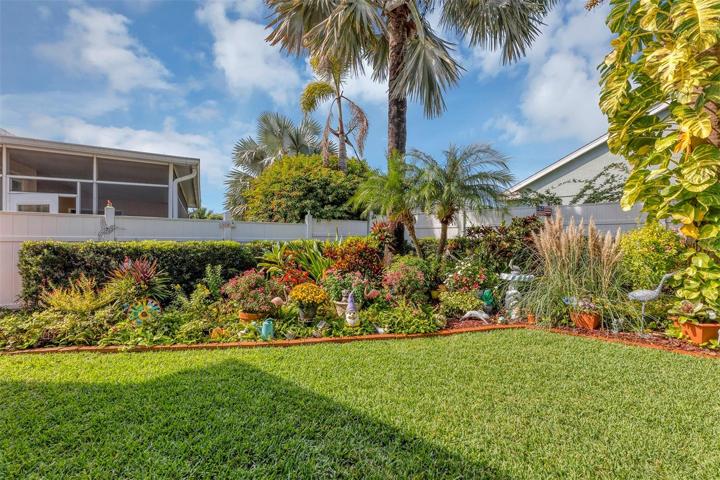 Gorgeous Backyard