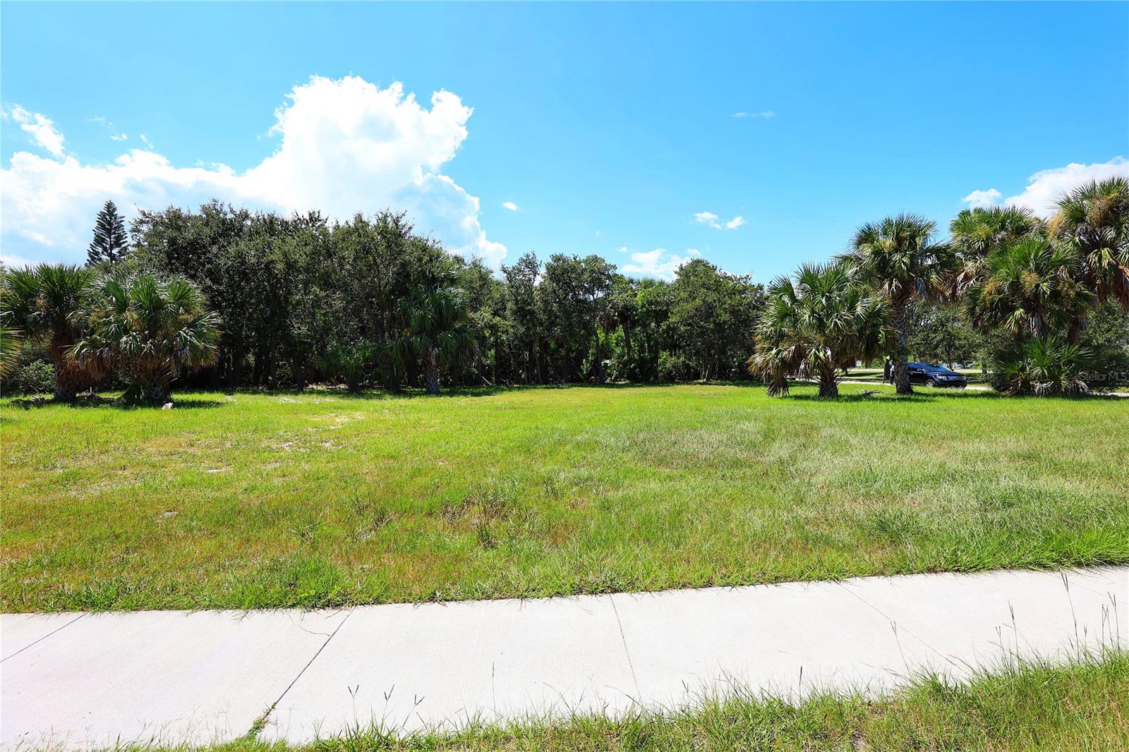New Smyrna Beach, Florida 32169, 0 , 0 ,0,Land,For Sale,DESOTO,0,NS1077108