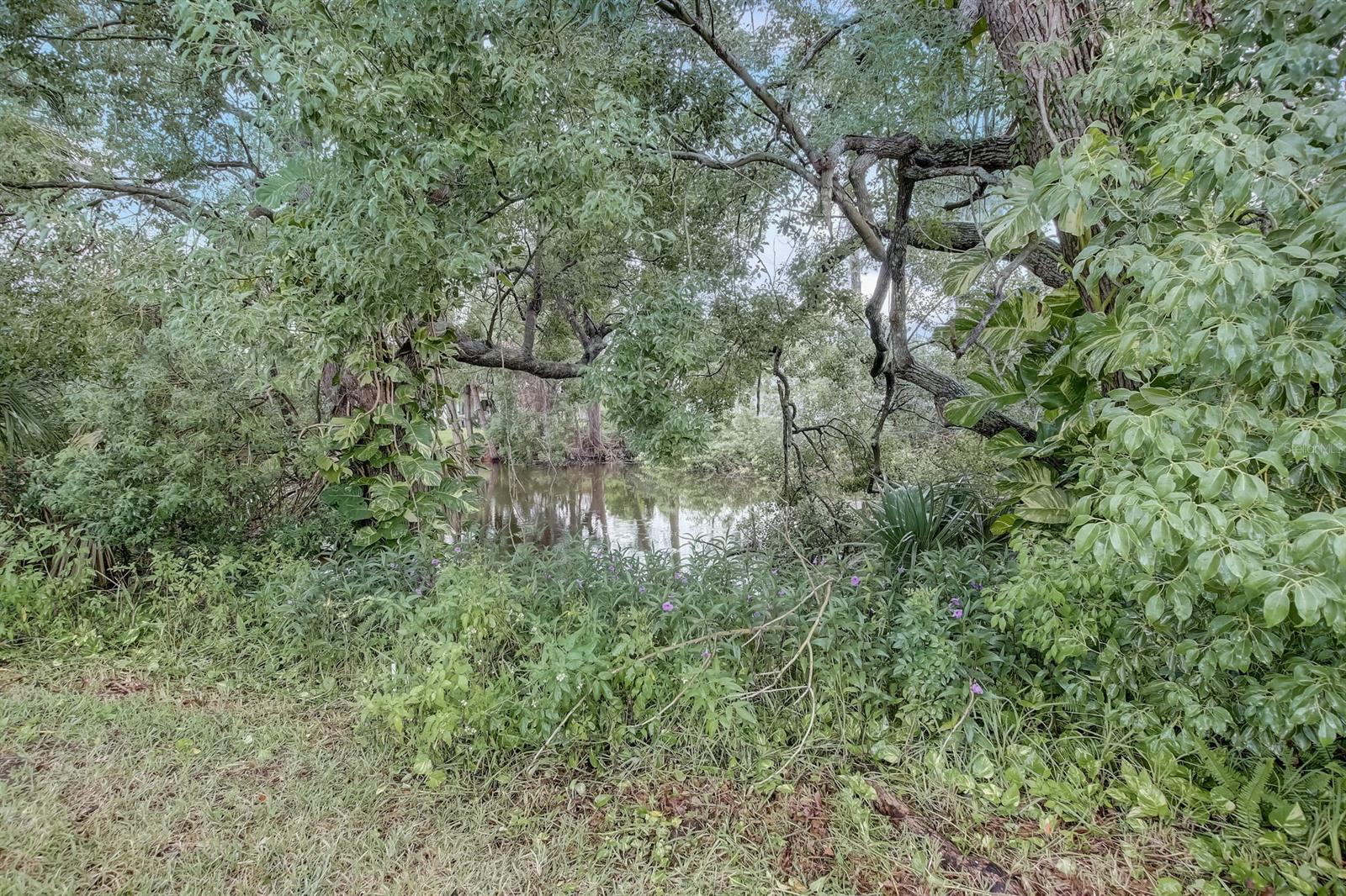 Canal