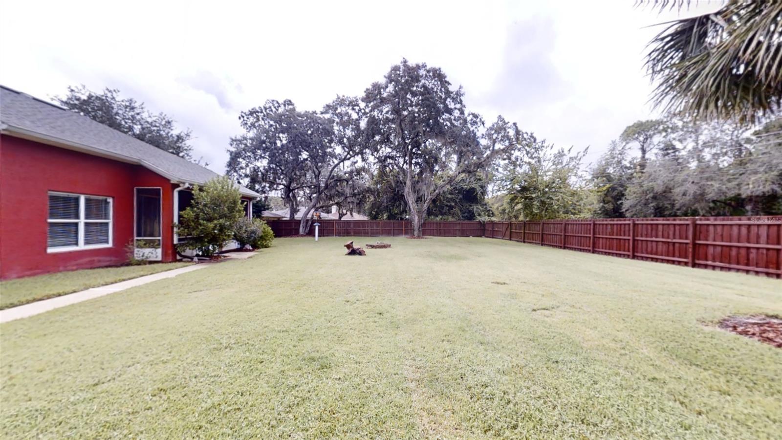 Backyard Oasis