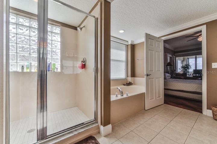 Saoker tub and shower in master