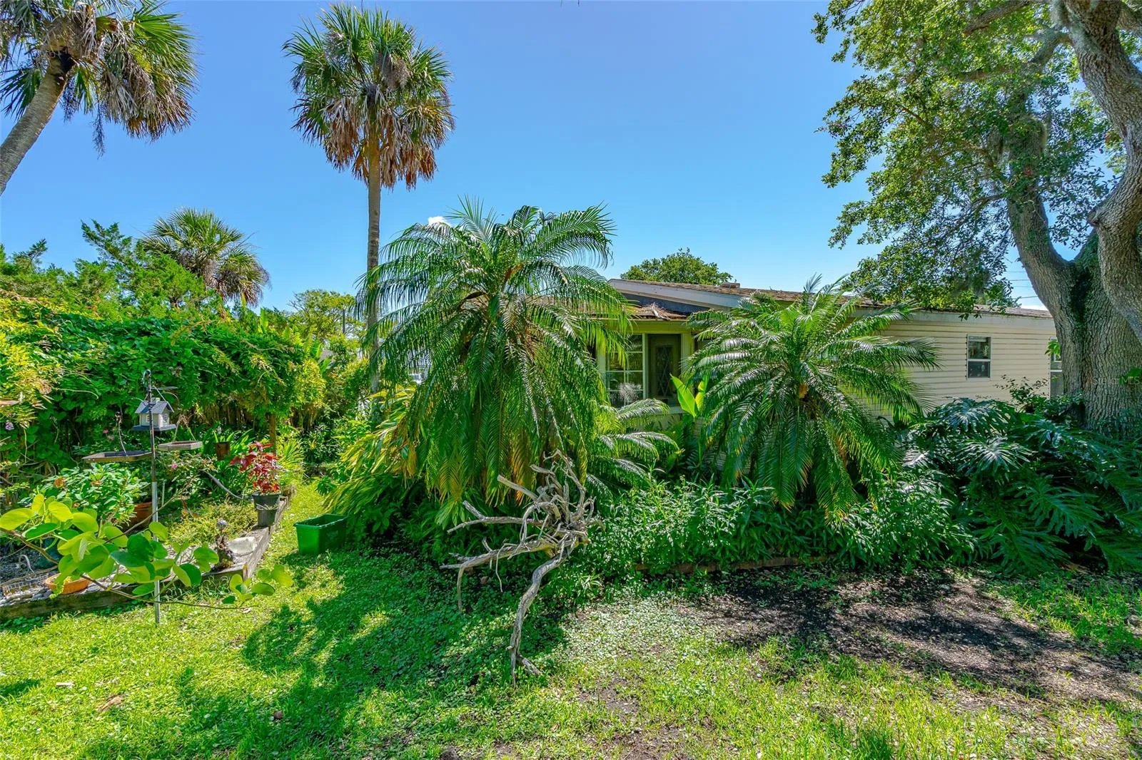 Oak Hill, Florida 32759, 0 , 0 ,0,Land,For Sale,Halifax,0,NS1069081