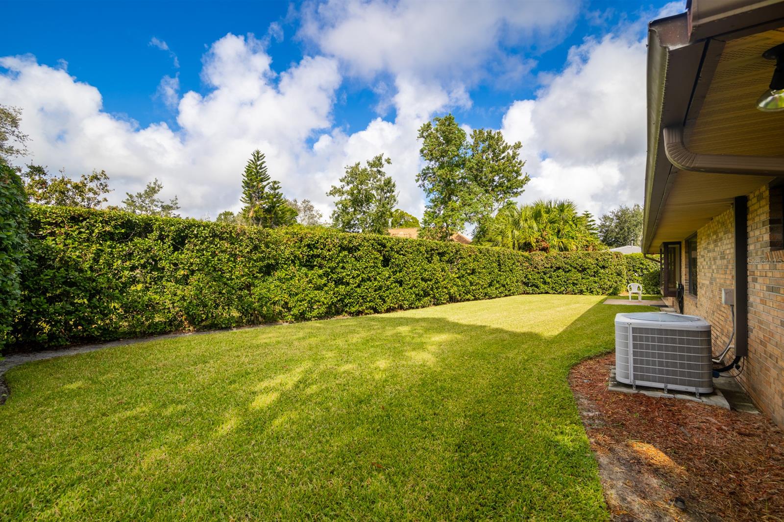 Back yard adjacent to a buffer zone for privacy