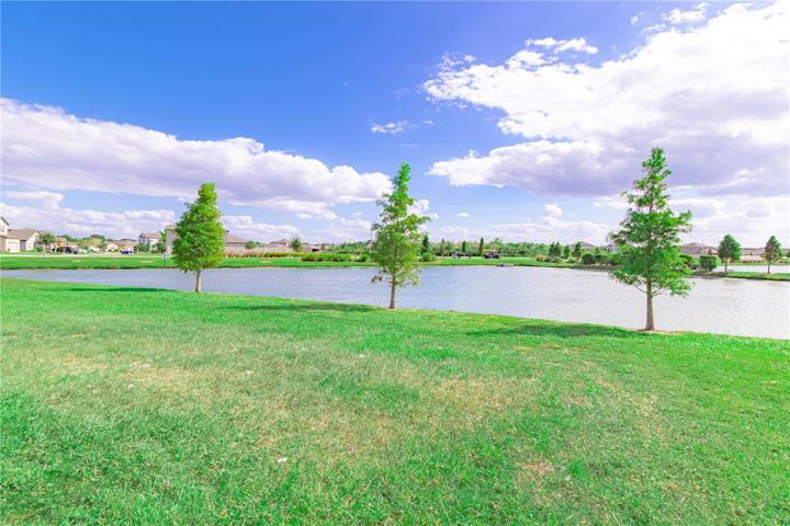 Backyard View