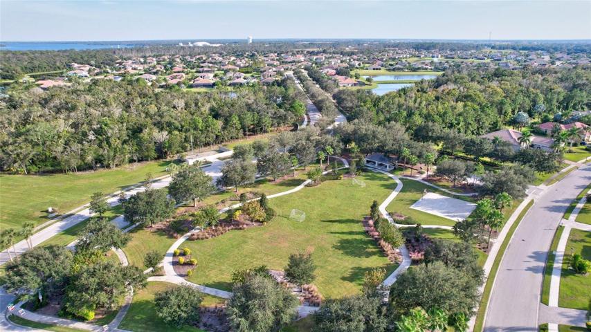 aerial of park