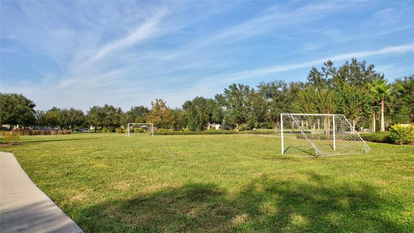 soccer field