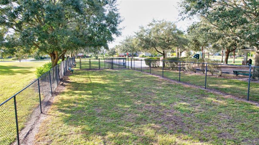 Doggie park
