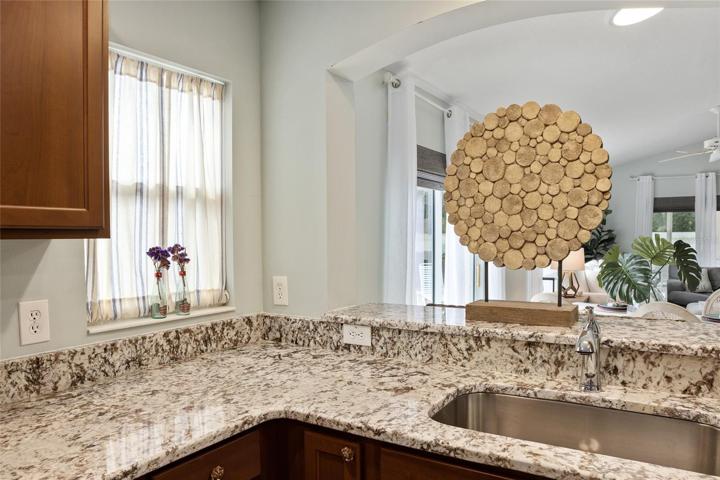 Granite Counters