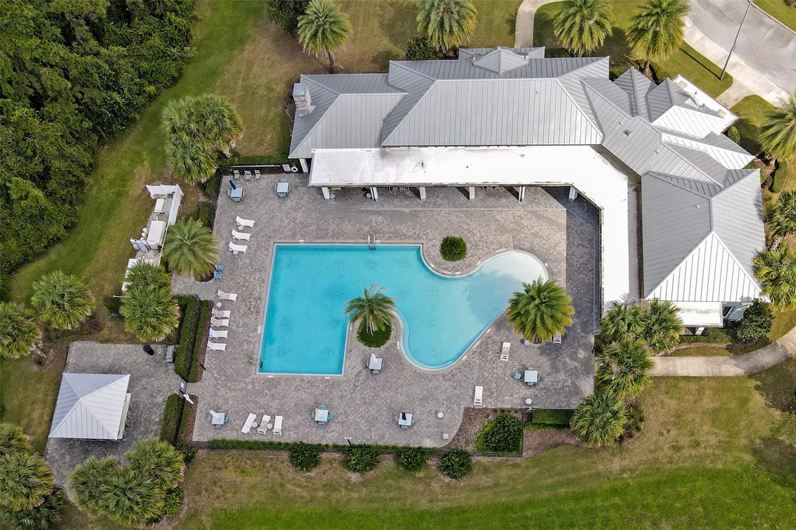 Amazing Pool!
