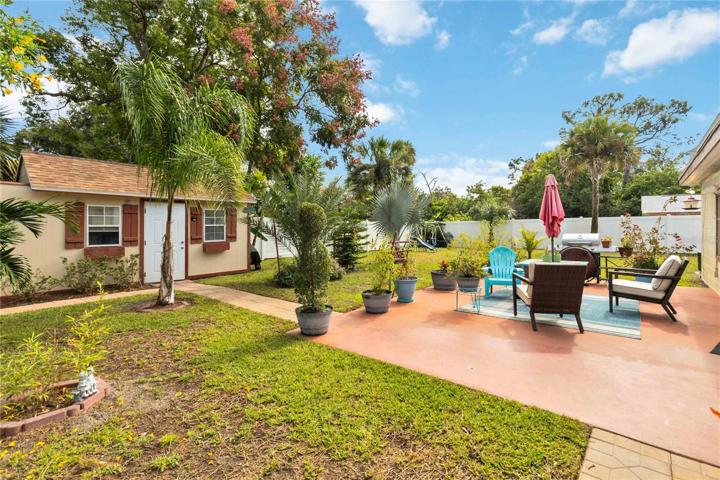 Back Yard