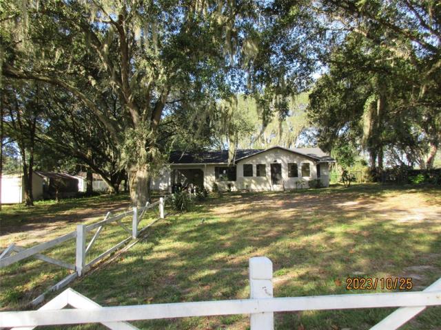 Front yard