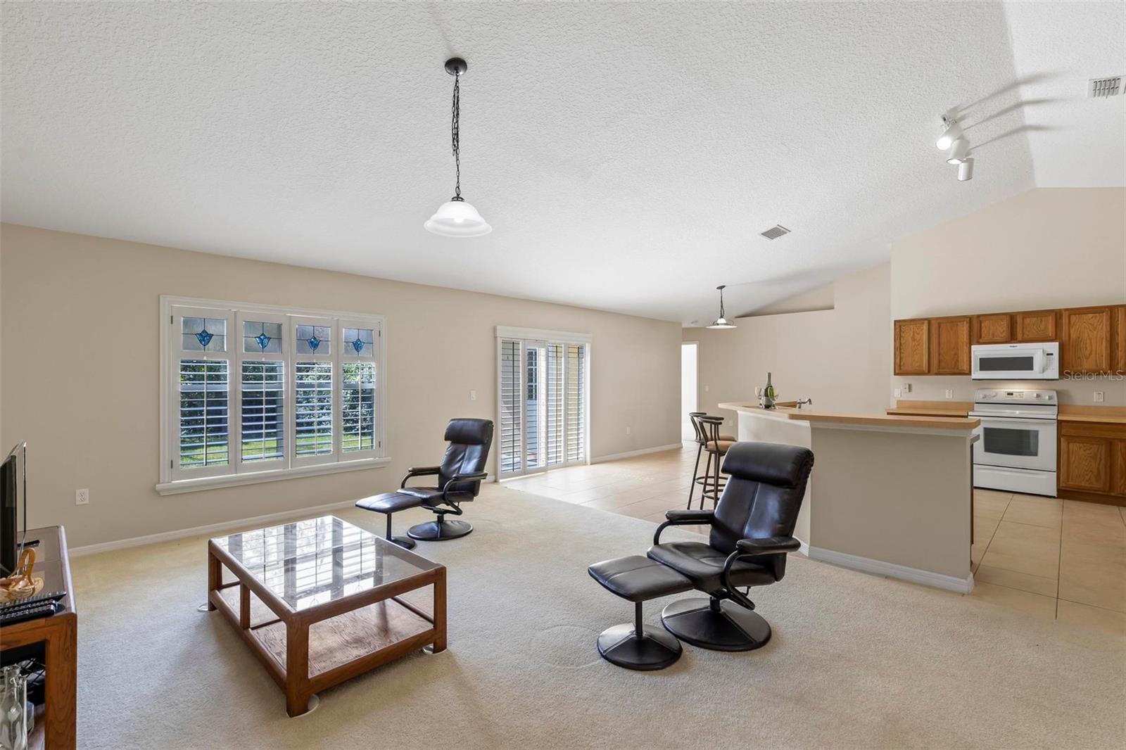 Family Room and Kitchen