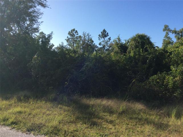 small trees & scrub: easy clearing