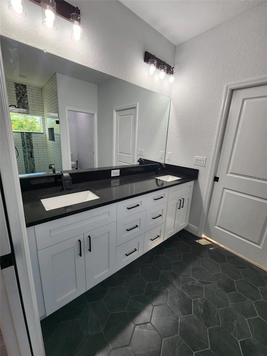 Dual Sink Master