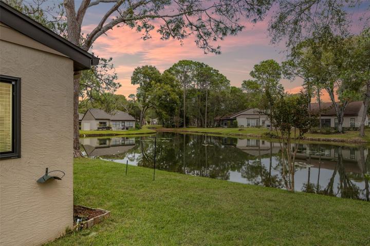 Back of House / Yard