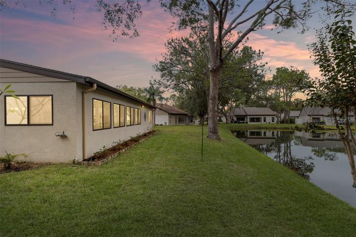 Back of House / Yard