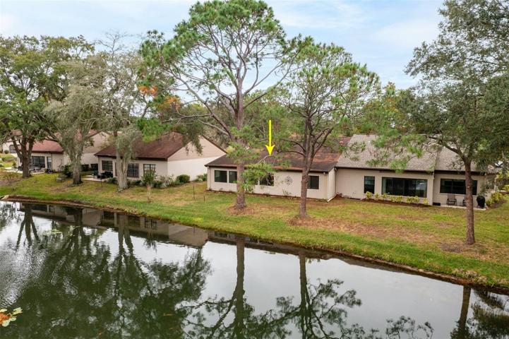 Back of House / Yard