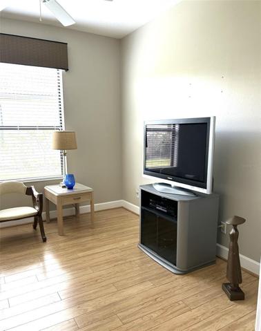 Den/Office space