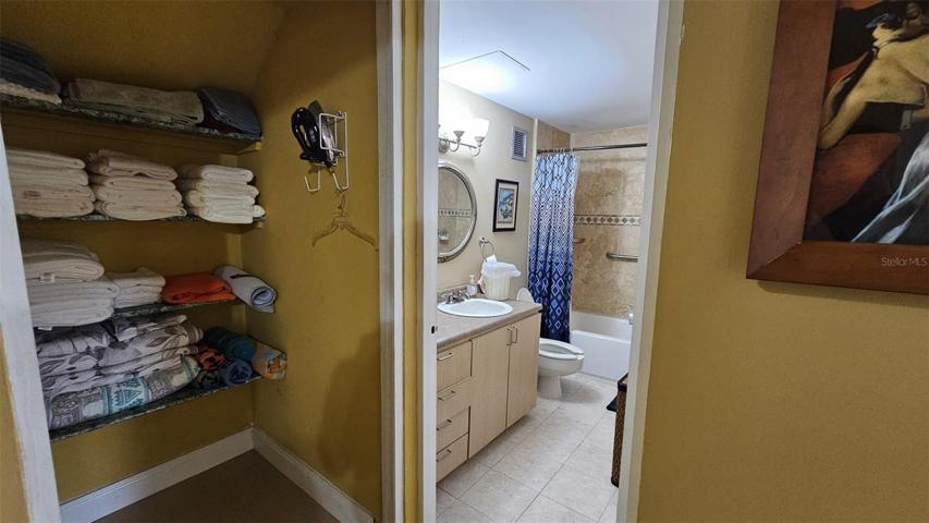 Linen closet and guest bathroom