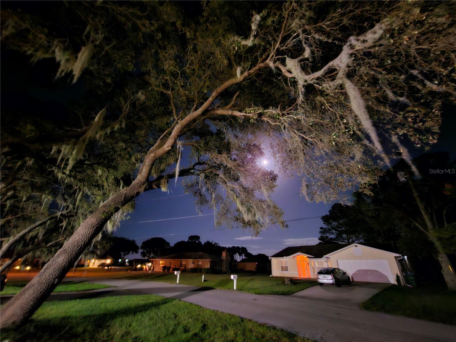 Full moon view from your front yard
