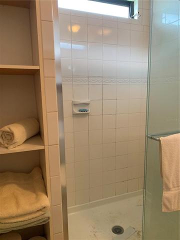 Master bathroom shower
