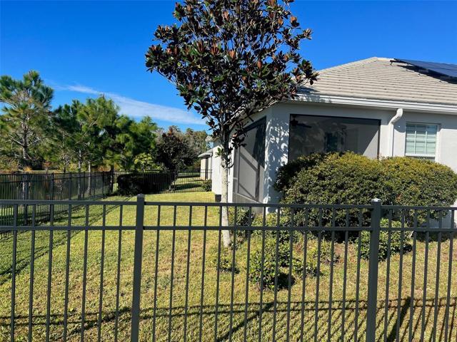 backyard side view