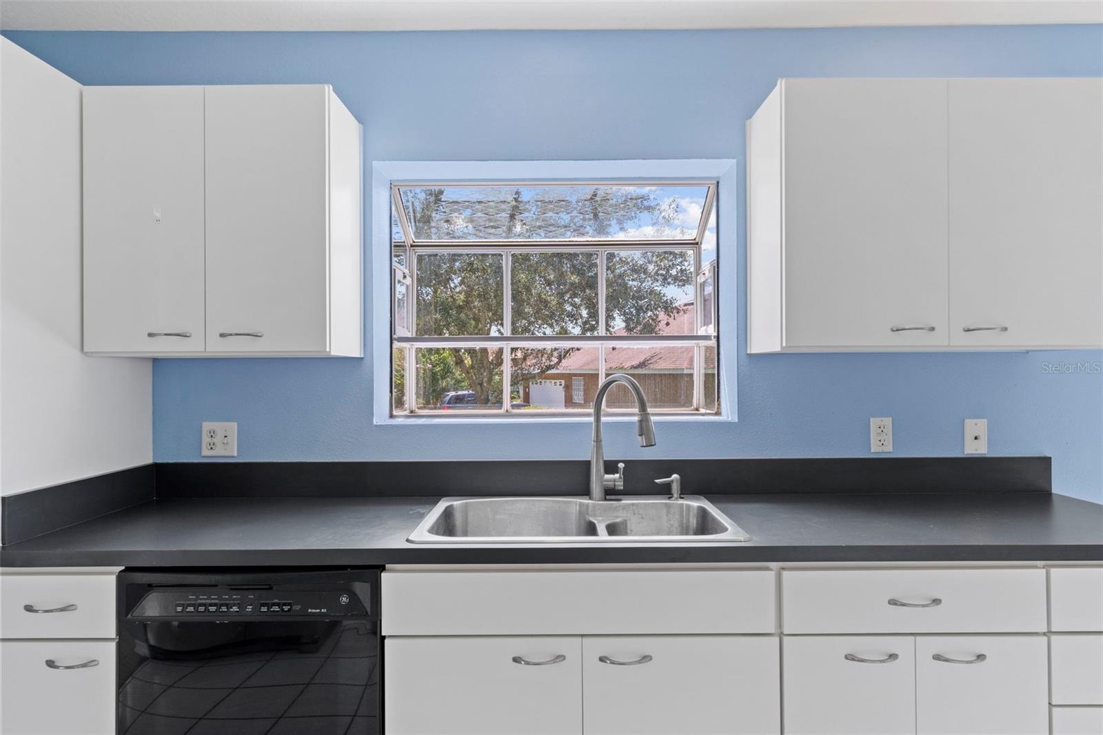 Sink with garden box