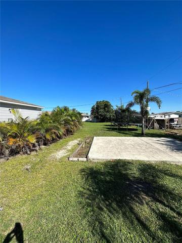 Backyard - foliage around outdoor patio that leads to potential shed!