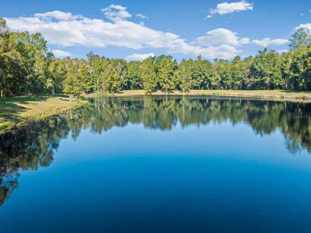 Your own private lake and paradise!