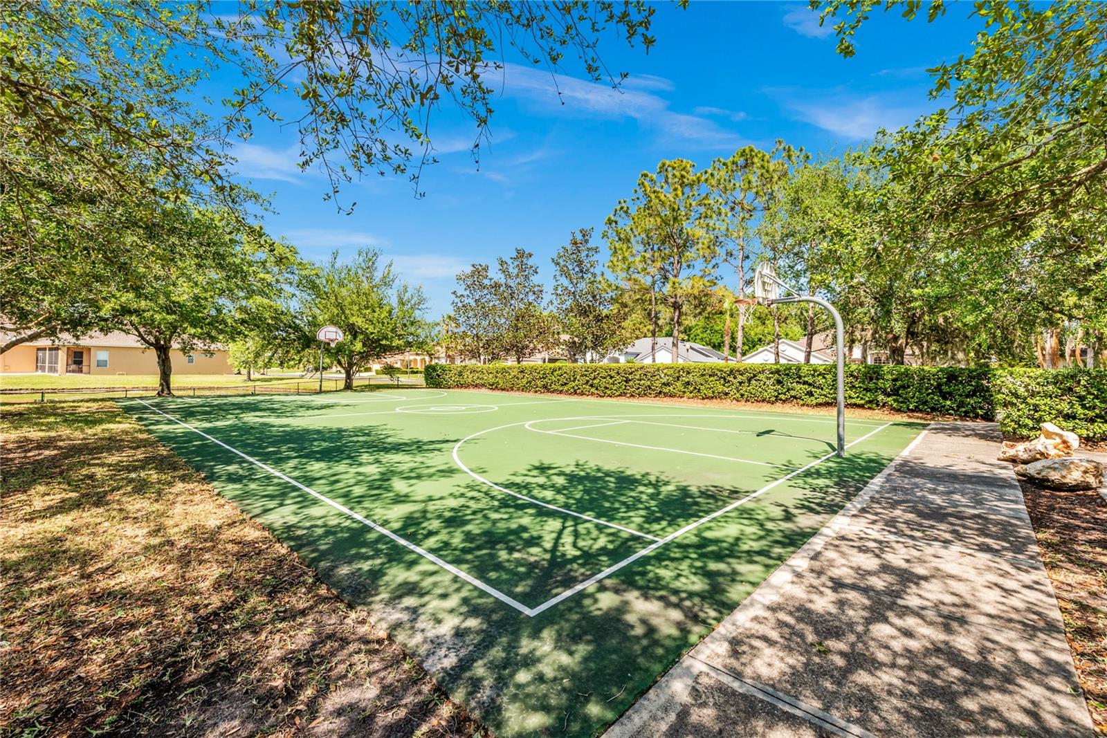 BASKETBALL.