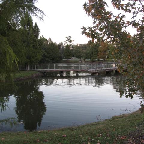 Boardwalk crossing