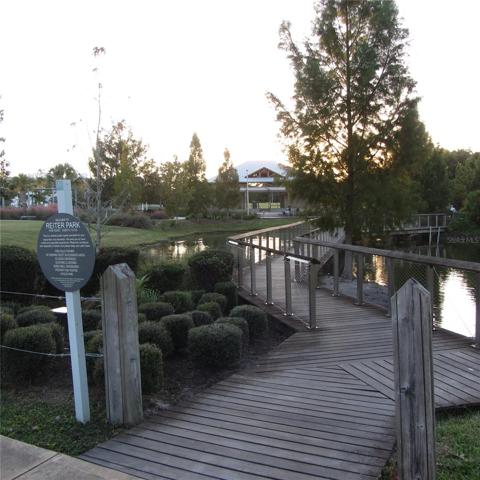 Park boardwalk on the lake