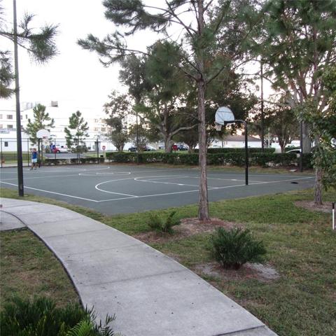 Full Basketball court