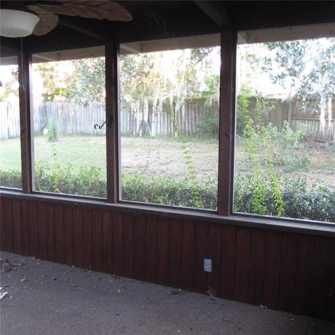 View of backyard