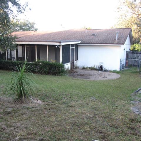 Large Backyard