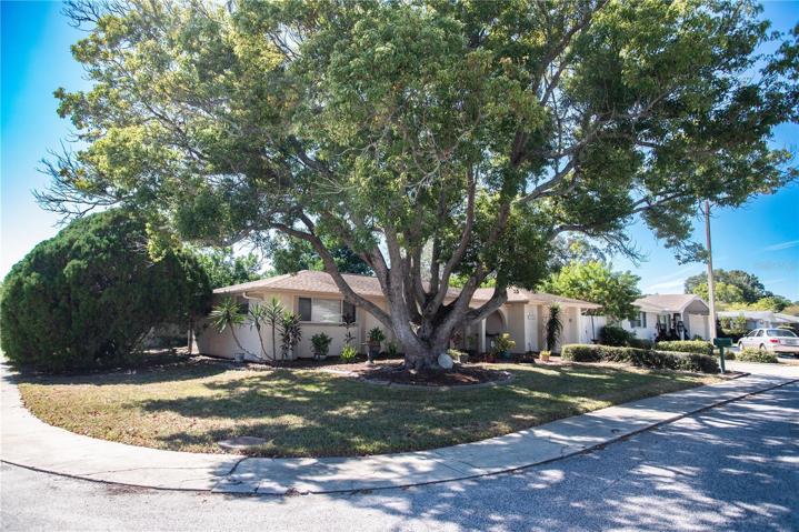 Beautiful Corner Lot