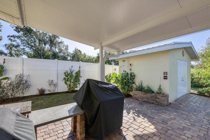 Grill area & shed