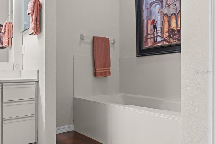 Master Bath with tub