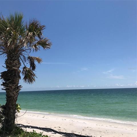 Close to the beach