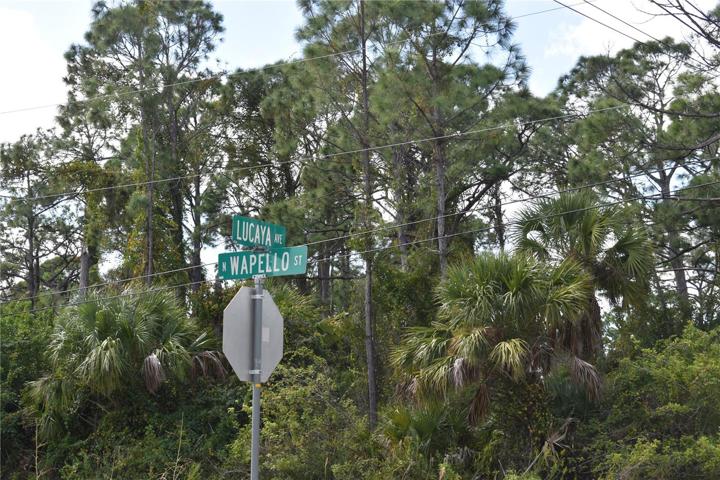 quite neighborhood