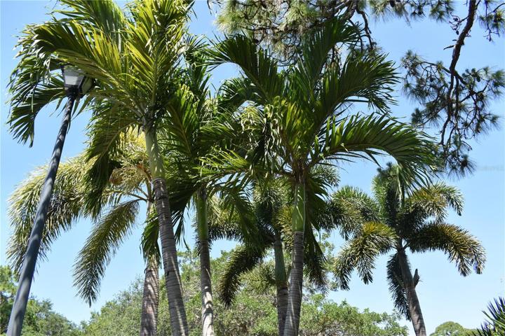 SouthWest Florida