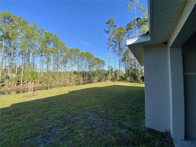 Freshwater Canal view Backyard