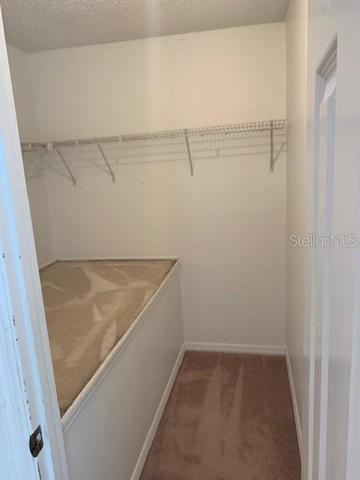 bedroom 2 has a massive walk0in clioset