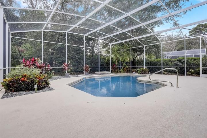 Spacious pool deck under screen