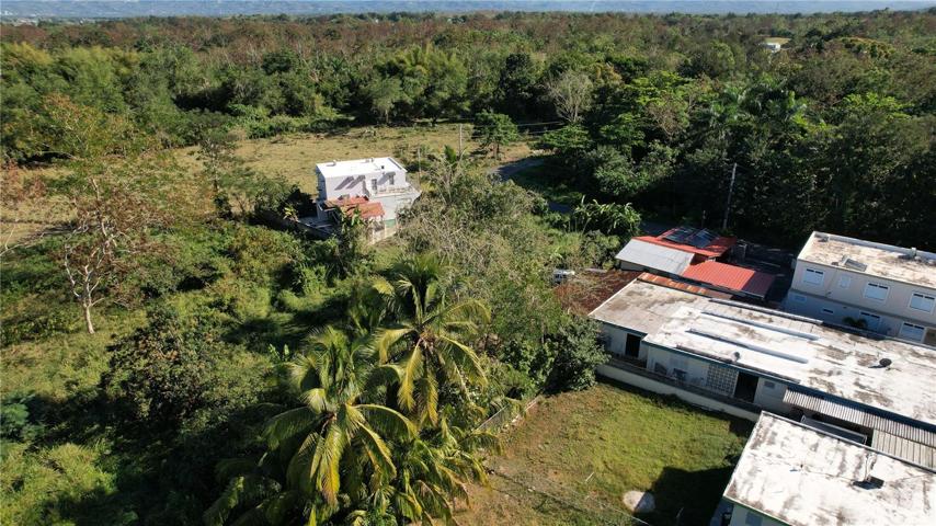 Aerial Lateral Views